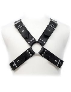 LEATHER BODY - BUCKLES HARNESS